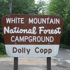 July Campout:  Dolly Copp Campground